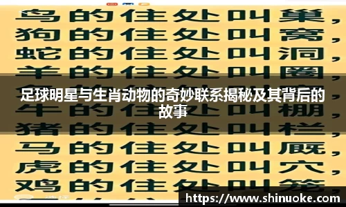 足球明星与生肖动物的奇妙联系揭秘及其背后的故事